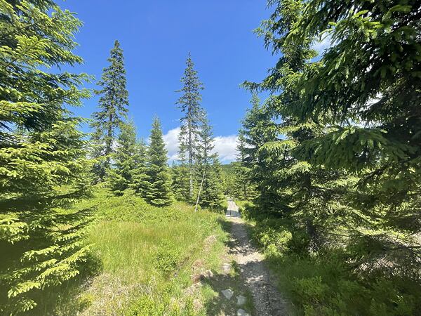 Z Boudy Na Pláních vede tresa přes upravené lávky a můžete se těšit, běží to tu samo