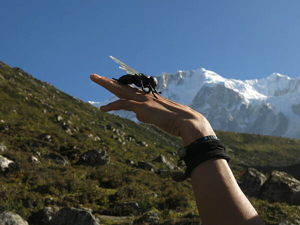expedice-manaslu-2015