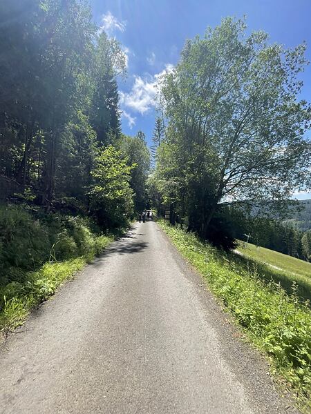 Po úseku na panelce následuje celkem dlouhý úsek po asfaltu. Potom už ale konečně uhneme do měkkého