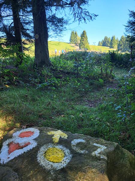 trailrunning-camp-sumava-lipensko-pasecna