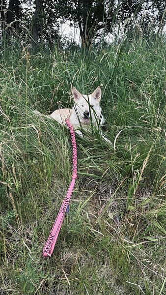 stezka-ceskem-vyherkyne-niki-grulichova