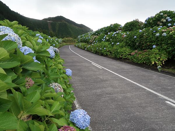 dovolena-na-ostrovech-vecneho-jara-azory