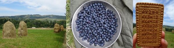malebne-kopecky-zakarpatske-ukrajiny