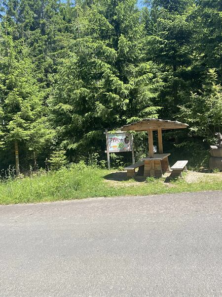 U tohoto altánku se dejte doprava na malou lesní stezku