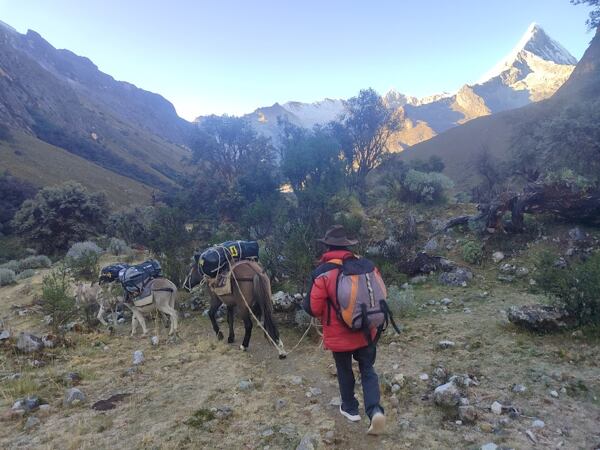 Sestup zpět do civilizace