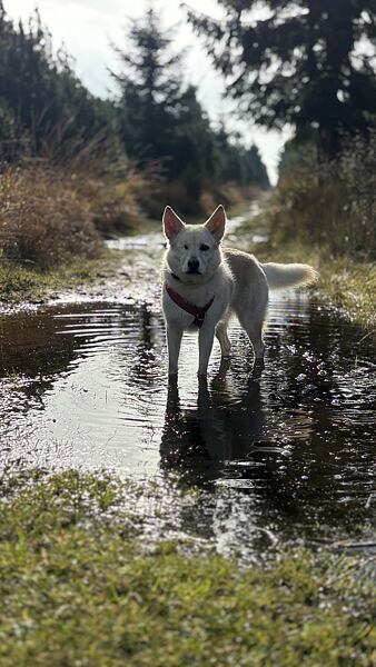 stezka-ceskem-vyherkyne-niki-grulichova