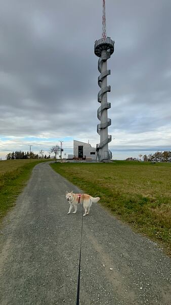 Rozhledna Šibeník (Nový Hrádek), pokud chcete vidět, je třeba se trochu odklonit ze Stezky Českem (cca 12 km)