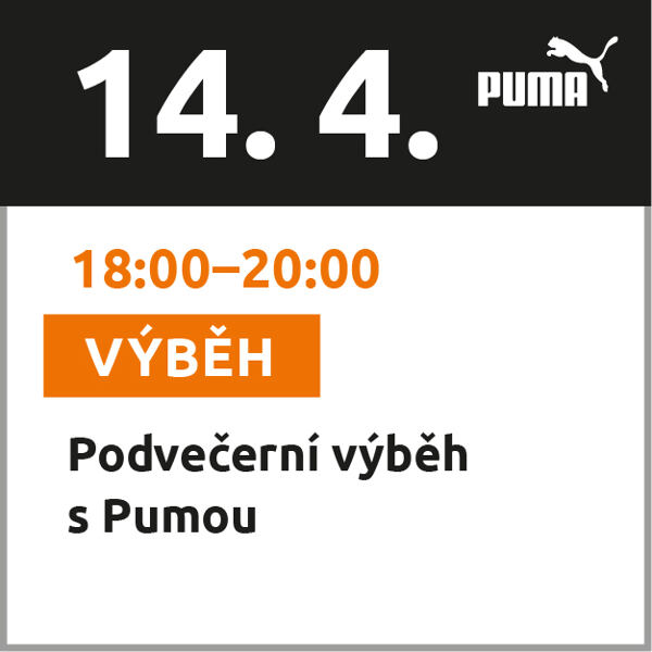 Podvečerní výběh s Pumou