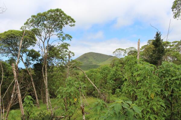 prednaska-galapagy-iva-traxmandlova