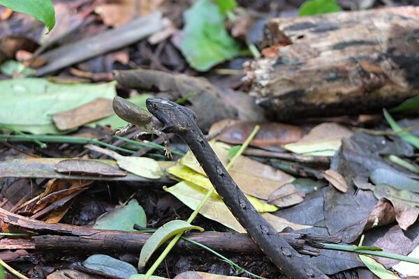 dobrodruzstvi-v-zatoce-halong-bay